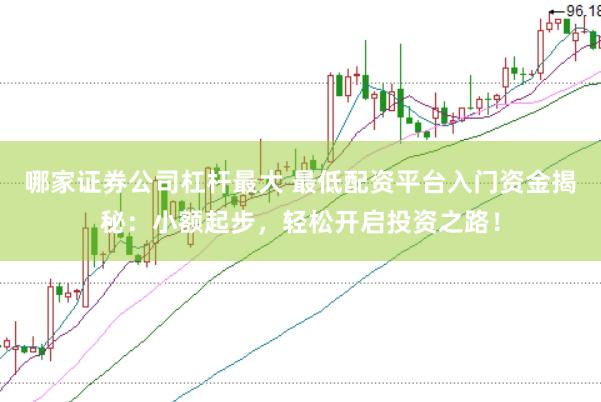 哪家证券公司杠杆最大 最低配资平台入门资金揭秘：小额起步，轻松开启投资之路！