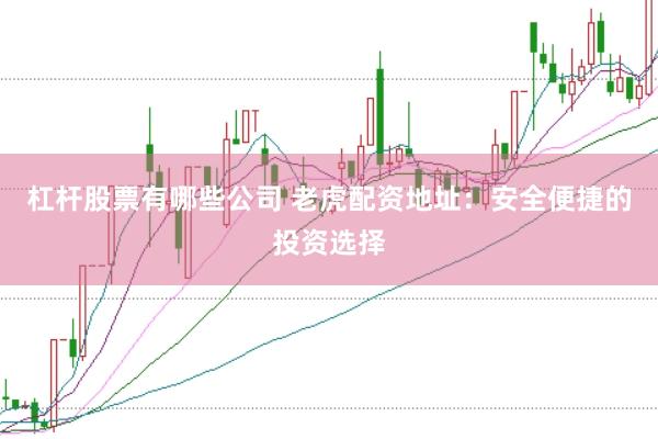 杠杆股票有哪些公司 老虎配资地址：安全便捷的投资选择