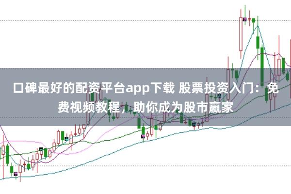 口碑最好的配资平台app下载 股票投资入门：免费视频教程，助你成为股市赢家