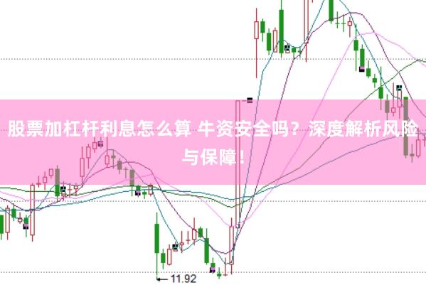 股票加杠杆利息怎么算 牛资安全吗？深度解析风险与保障！