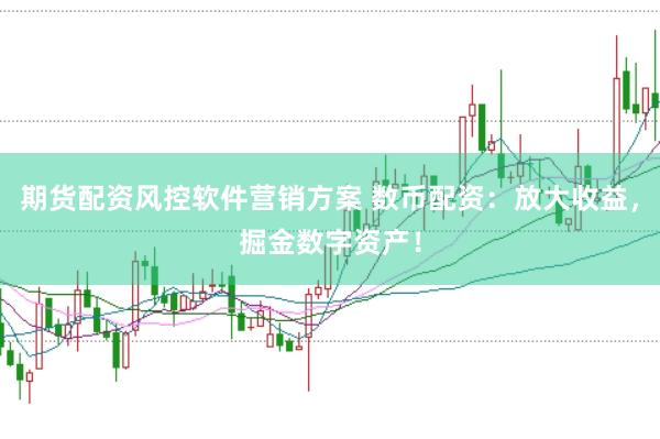 期货配资风控软件营销方案 数币配资：放大收益，掘金数字资产！