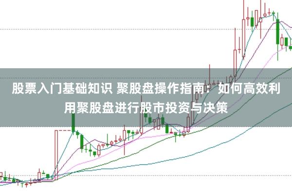 股票入门基础知识 聚股盘操作指南：如何高效利用聚股盘进行股市投资与决策