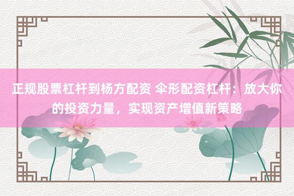 正规股票杠杆到杨方配资 伞形配资杠杆：放大你的投资力量，实现资产增值新策略