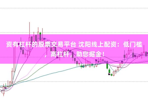 资有杠杆的股票交易平台 沈阳线上配资：低门槛，高杠杆，助您掘金！