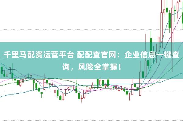 千里马配资运营平台 配配查官网：企业信息一键查询，风险全掌握！