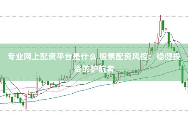 专业网上配资平台是什么 股票配资风控：稳健投资的护航者