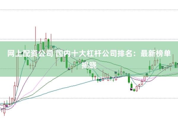 网上配资公司 国内十大杠杆公司排名：最新榜单揭晓