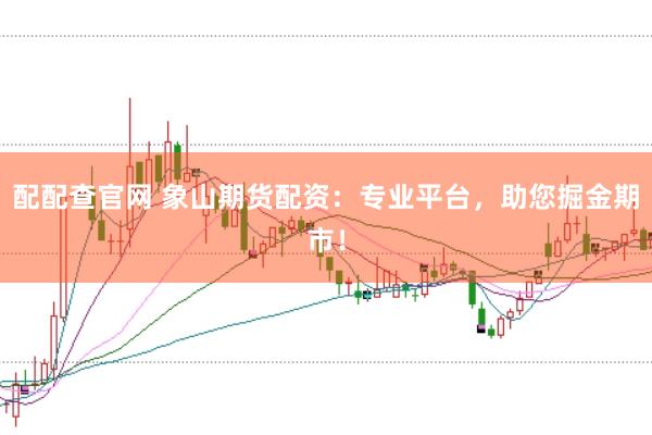 配配查官网 象山期货配资：专业平台，助您掘金期市！