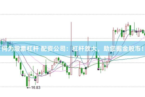 何为股票杠杆 配资公司：杠杆放大，助您掘金股市！