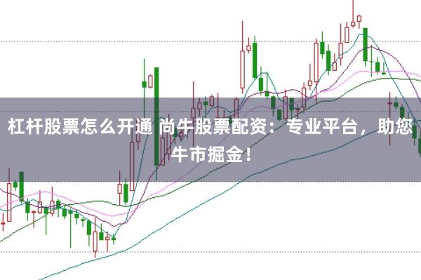 杠杆股票怎么开通 尚牛股票配资：专业平台，助您牛市掘金！