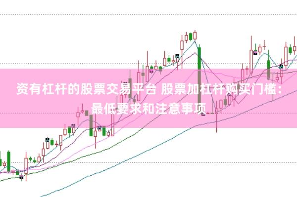 资有杠杆的股票交易平台 股票加杠杆购买门槛：最低要求和注意事项