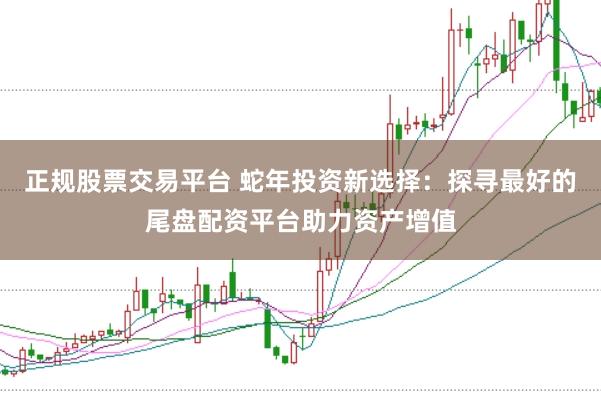 正规股票交易平台 蛇年投资新选择：探寻最好的尾盘配资平台助力资产增值