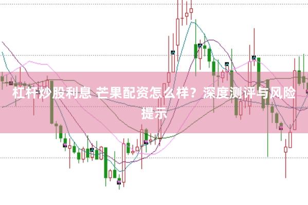 杠杆炒股利息 芒果配资怎么样？深度测评与风险提示