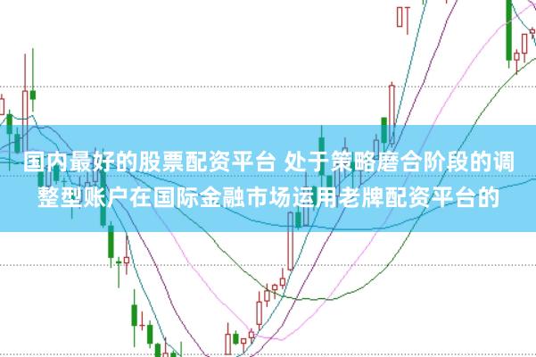 国内最好的股票配资平台 处于策略磨合阶段的调整型账户在国际金融市场运用老牌配资平台的