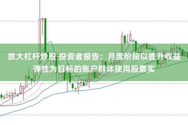 放大杠杆炒股 投资者报告：月度阶段以提升收益弹性为目标的账户群体使用股票实