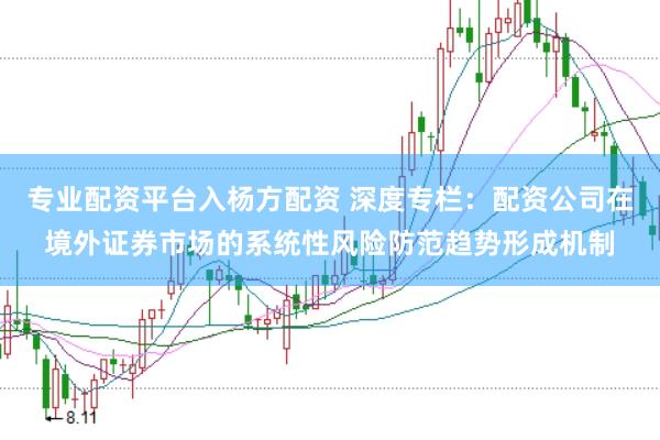 专业配资平台入杨方配资 深度专栏：配资公司在境外证券市场的系统性风险防范趋势形成机制