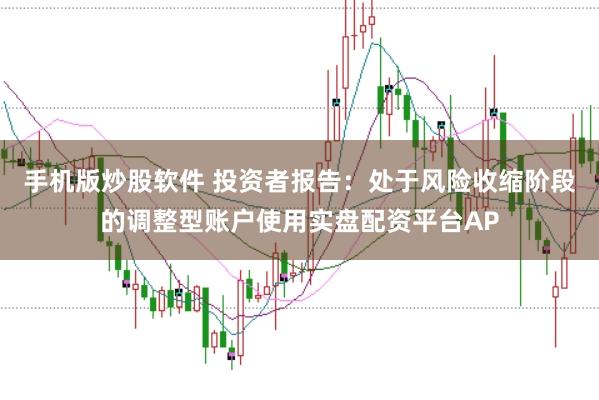 手机版炒股软件 投资者报告：处于风险收缩阶段的调整型账户使用实盘配资平台AP