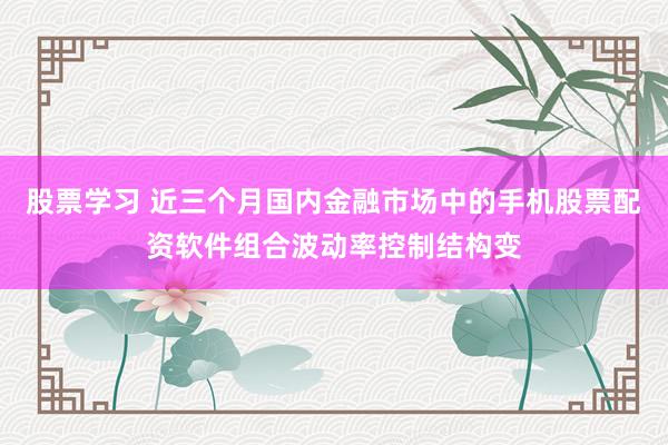 股票学习 近三个月国内金融市场中的手机股票配资软件组合波动率控制结构变