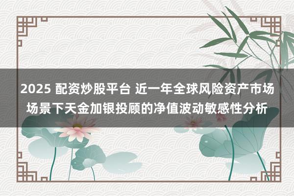 2025 配资炒股平台 近一年全球风险资产市场场景下天金加银投顾的净值波动敏感性分析