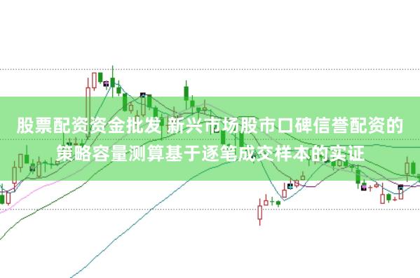 股票配资资金批发 新兴市场股市口碑信誉配资的策略容量测算基于逐笔成交样本的实证