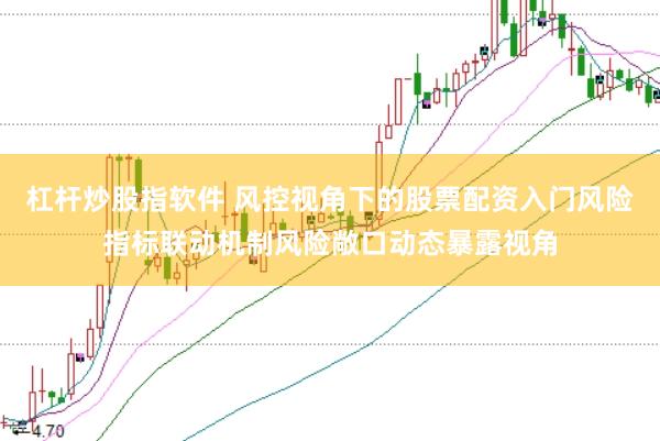 杠杆炒股指软件 风控视角下的股票配资入门风险指标联动机制风险敞口动态暴露视角