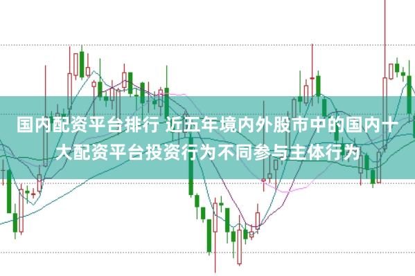国内配资平台排行 近五年境内外股市中的国内十大配资平台投资行为不同参与主体行为