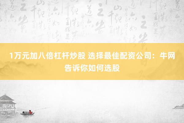 1万元加八倍杠杆炒股 选择最佳配资公司：牛网告诉你如何选股