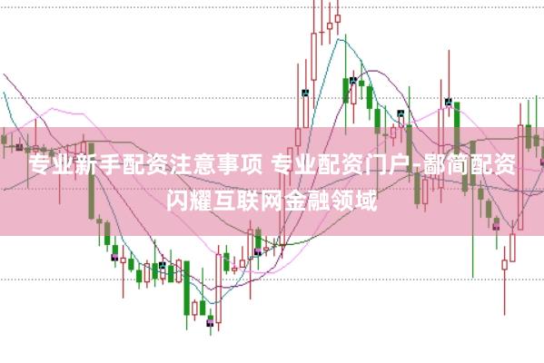专业新手配资注意事项 专业配资门户-鄙简配资闪耀互联网金融领域